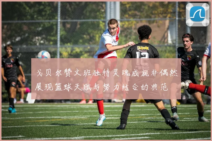 戈贝尔赞文班独特灵魂成就非偶然展现篮球天赋与努力结合的典范