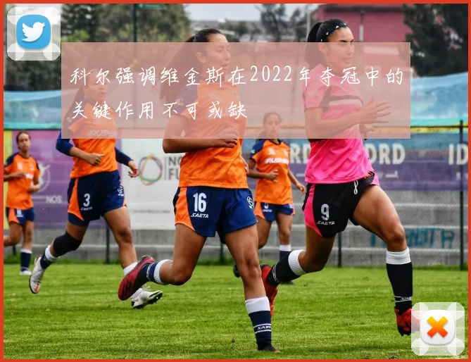 科尔强调维金斯在2022年夺冠中的关键作用不可或缺
