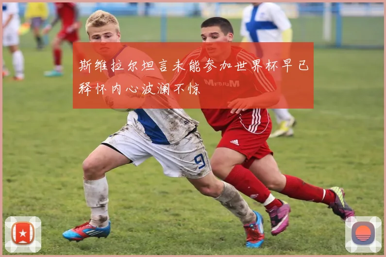 斯维拉尔坦言未能参加世界杯早已释怀内心波澜不惊